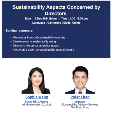Sustainability Aspects Concerned by Directors 
